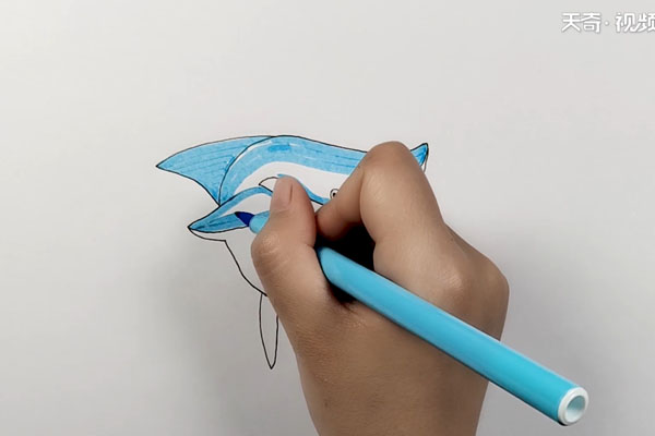 鯊魚簡筆畫