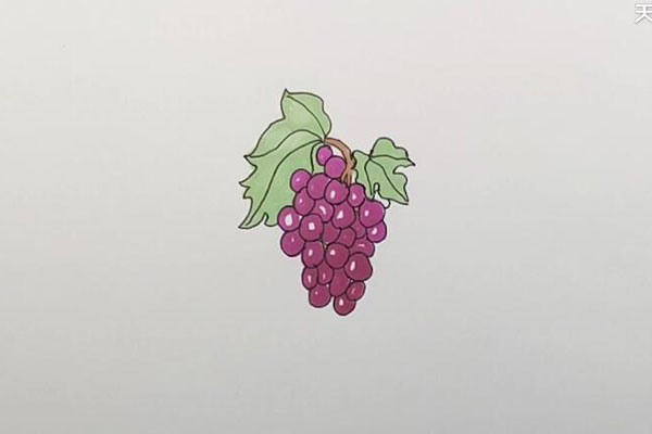 一串葡萄简笔画
