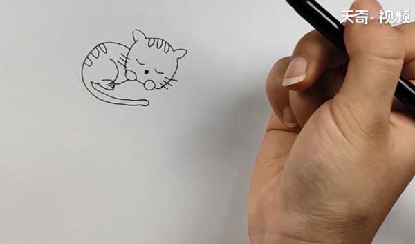 猫咪的简笔画