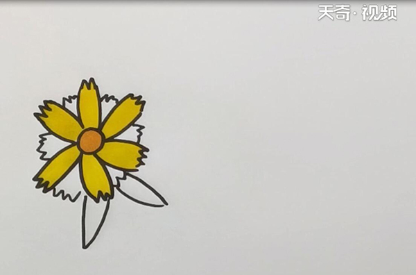 花卉简笔画