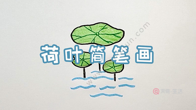 荷叶简笔画