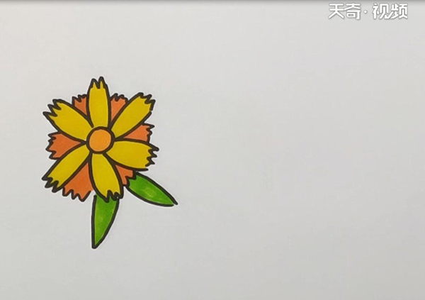 花卉简笔画
