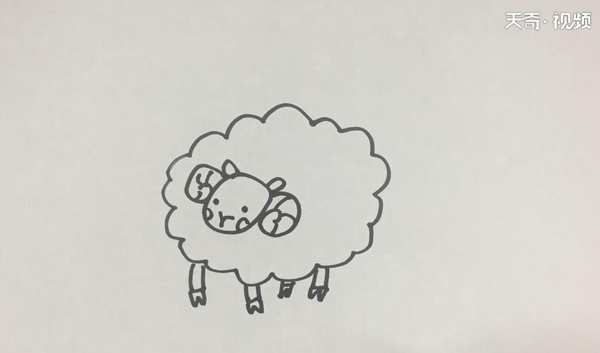 小羊的简笔画