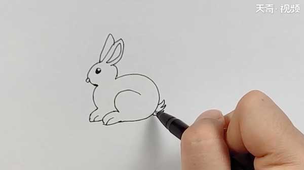 简笔画兔子