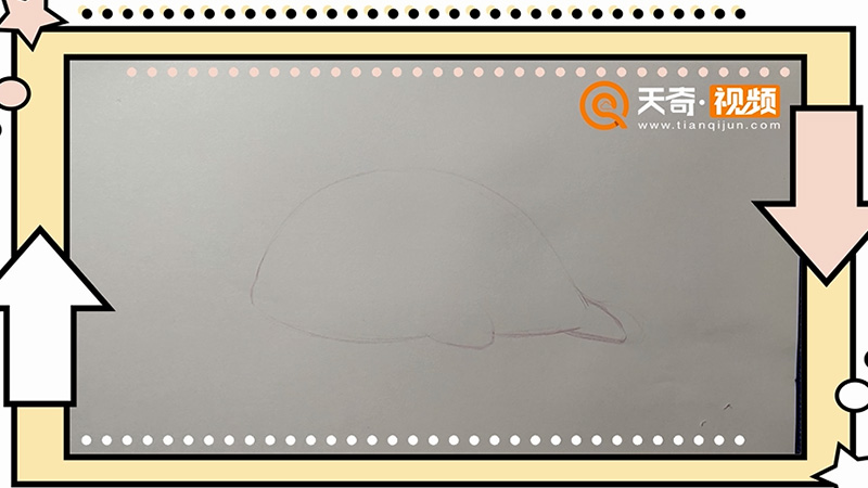 海狮简笔画