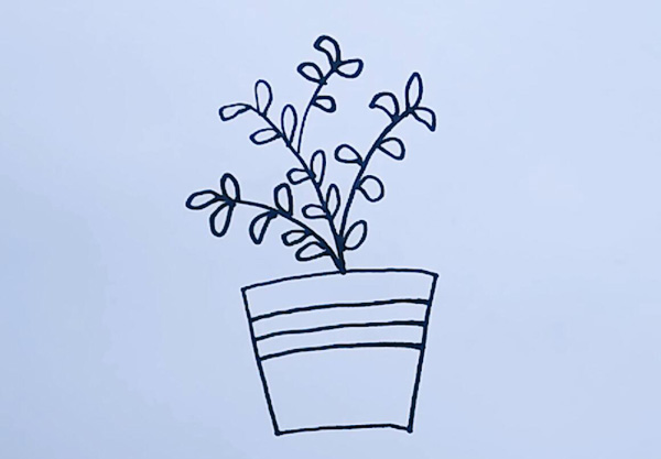 小盆栽的简笔画