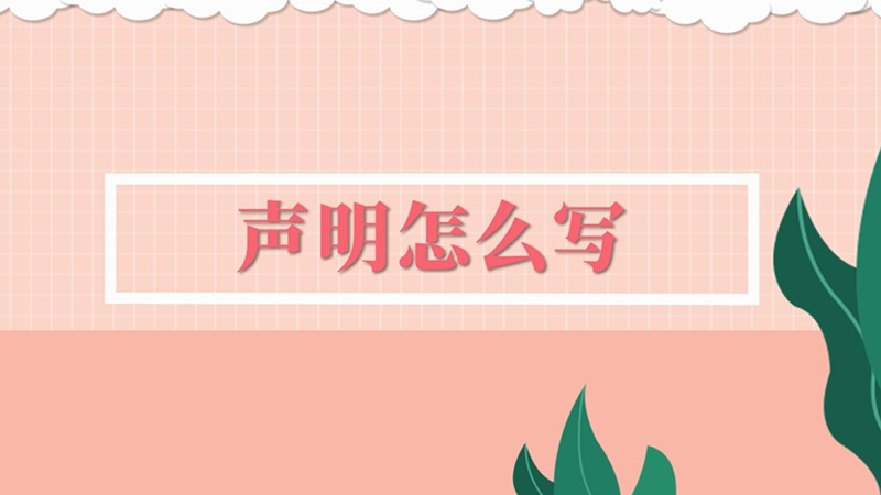 声明怎么写