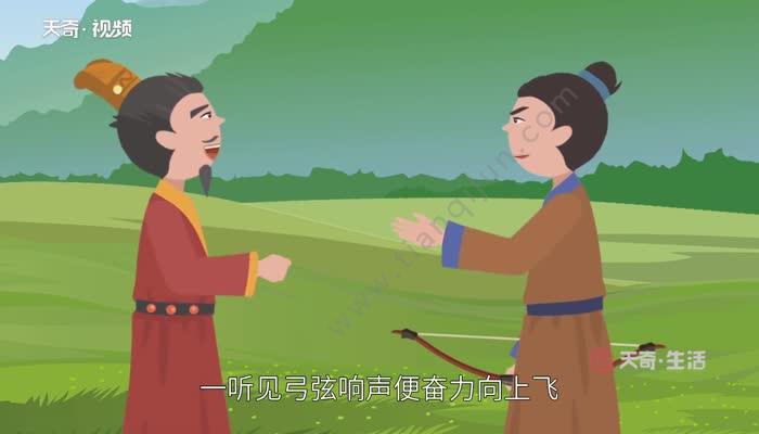 【近义词】心有余悸 惊弦之鸟【反义词】初生之犊 初生牛犊【例句