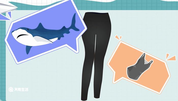 芭比裤和鲨鱼裤的区别 芭比裤和鲨鱼裤的区别是什么