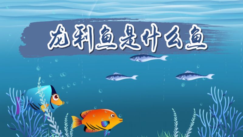 龍利魚是什么魚