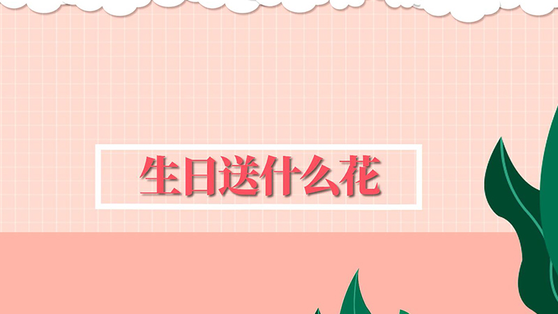 生日送什么花