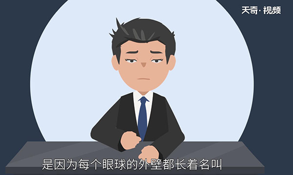 为什么双眼总是一起转动