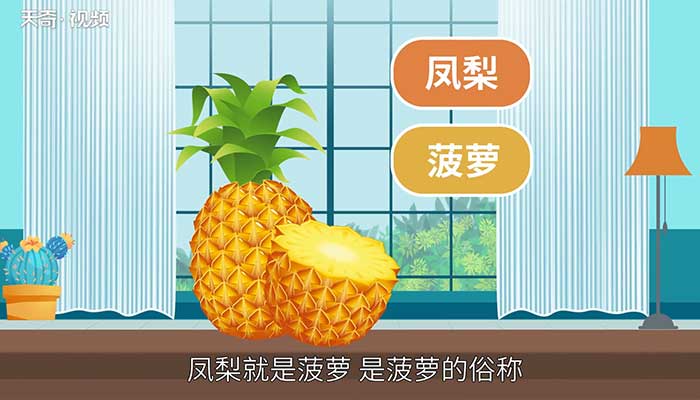 凤梨是菠萝吗 凤梨和菠萝是同一种东西吗