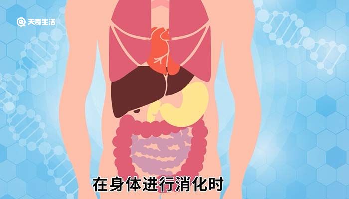 胆汁由哪个器官分泌的 胆汁什么意思
