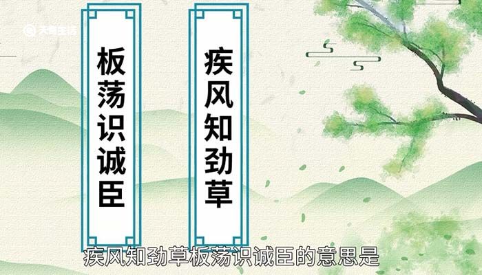 疾風(fēng)知?jiǎng)挪莅迨幾R(shí)誠臣是什么意思 疾風(fēng)知?jiǎng)挪莅迨幾R(shí)誠臣是什么意思出自哪里