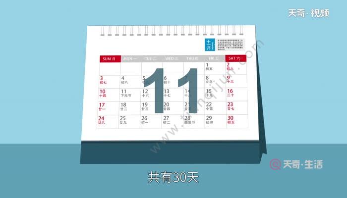 nov是几月nov哪个月份