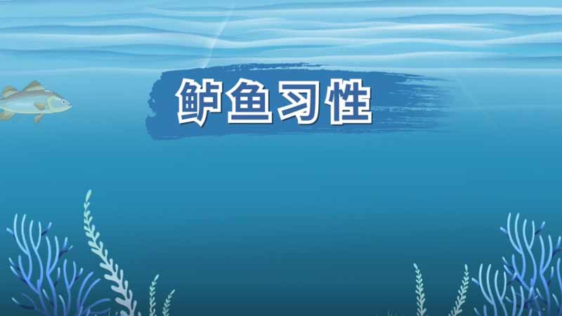 鲈鱼习性 鲈鱼的生活习性