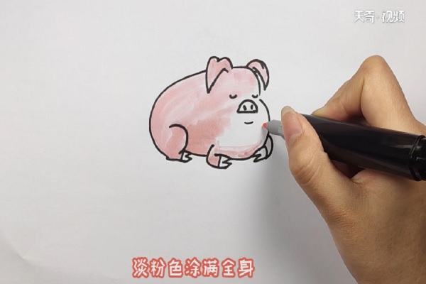 猪的涂色