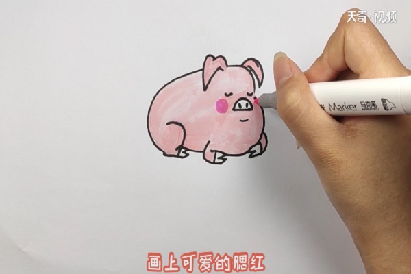 猪的涂色