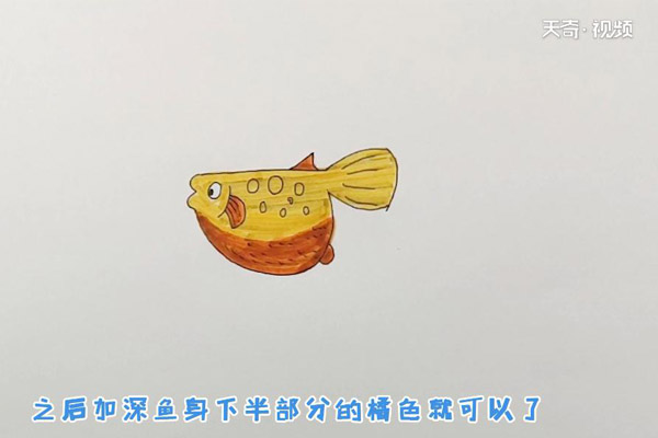 菜刀型鱼涂色