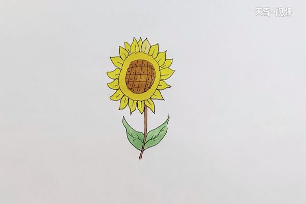 向日葵涂色