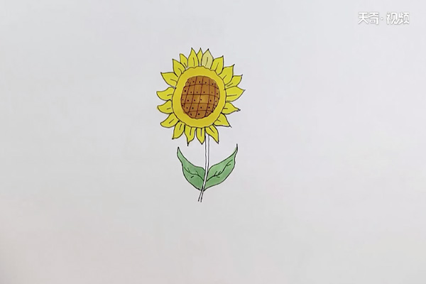 向日葵涂色