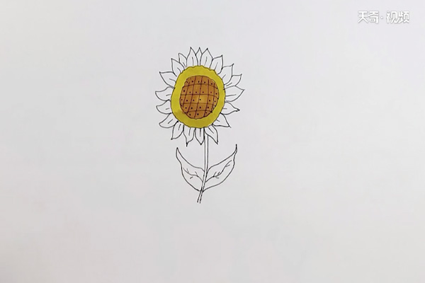 向日葵涂色