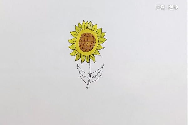 向日葵涂色