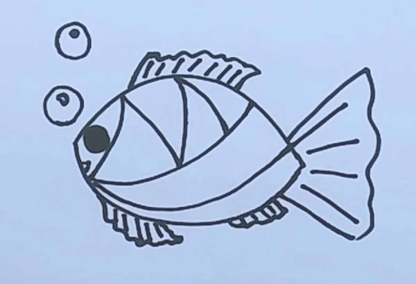 鱼的简笔画 幼儿园鱼的简笔画,