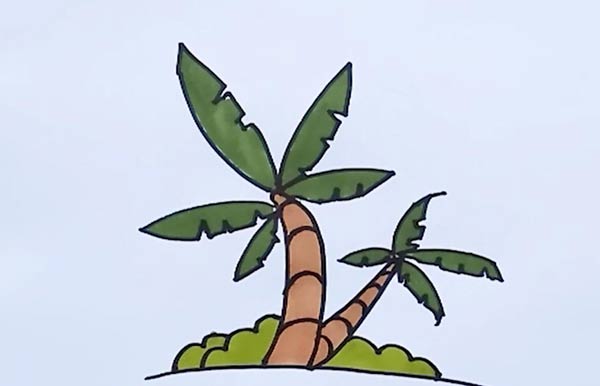 椰子树简笔画 椰子树简笔画带颜色