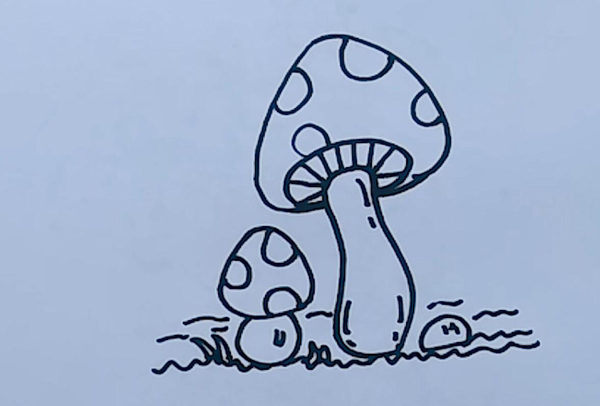 蘑菇简笔画  蘑菇的简笔画