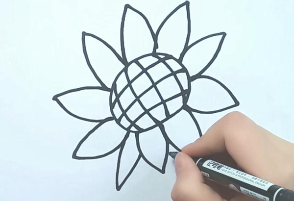 向日葵简笔画  向日葵怎么画