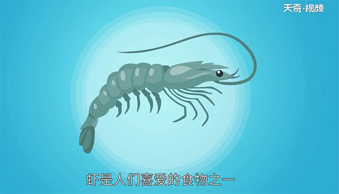 淡水虾和海水虾的区别 淡水虾和海水虾有何不同之处