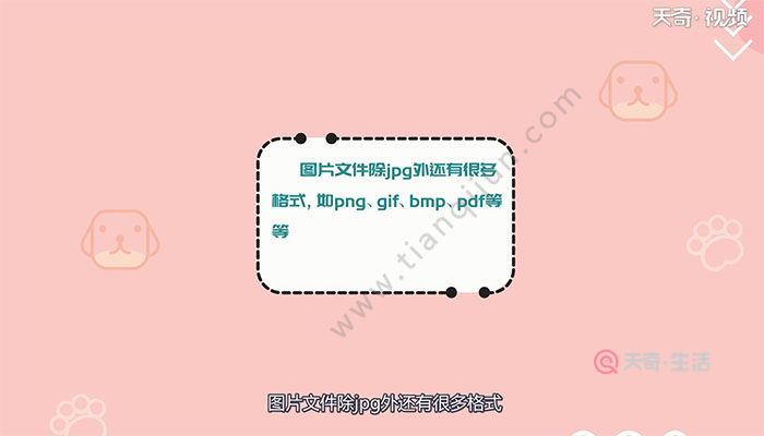 jpg是什么意思 jpg的意思是什么