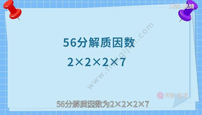 56的质因数 56的质因数是多少