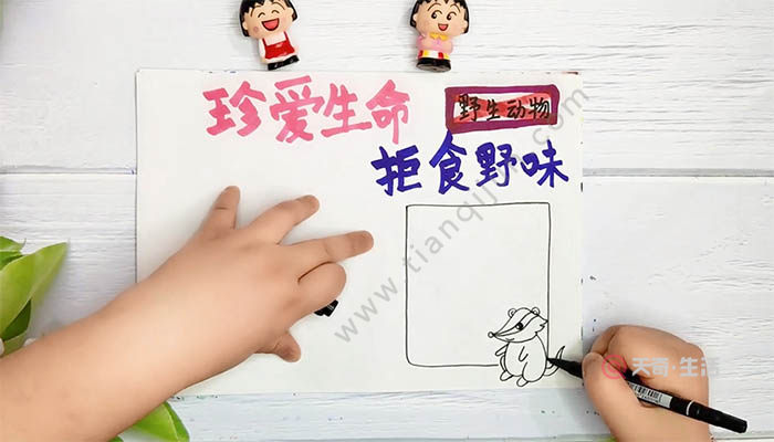 禁止吃野生动物手抄报 禁止吃野生动物手抄报画法