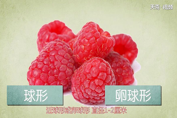 树莓的营养价值