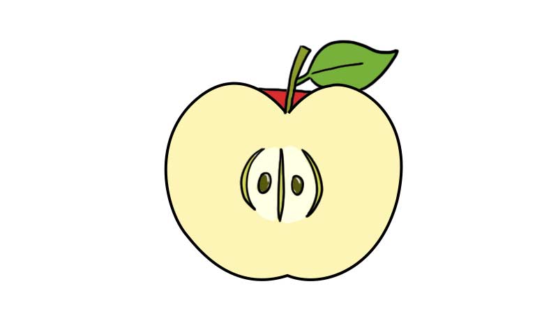 苹果种子的简笔画图片
