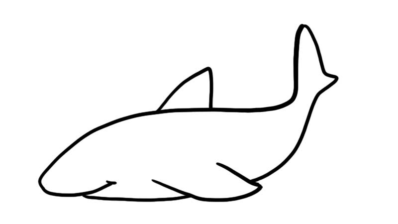 一笔画鲨鱼图片