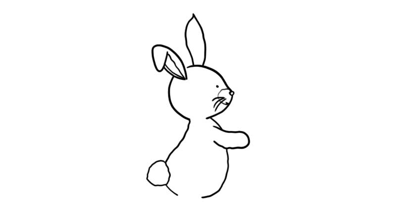 吉祥物简笔画 兔子图片