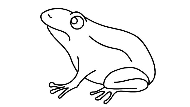 侧面青蛙的简单画法图片