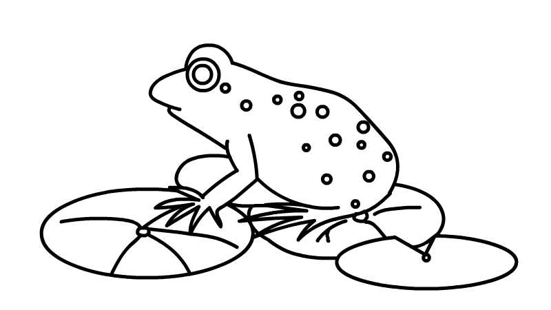 青蛙简笔画幼儿园图片