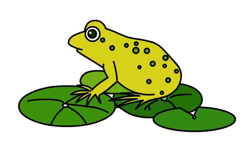 青蛙简笔画简单彩色图片