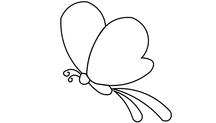 一只蝴蝶的简笔画图片