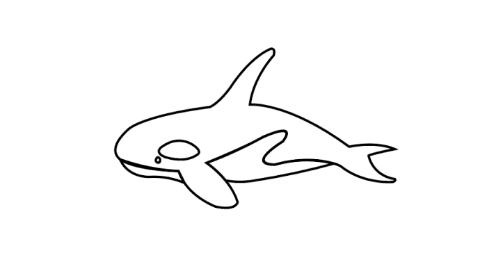 虎鲸怎么简笔画图片