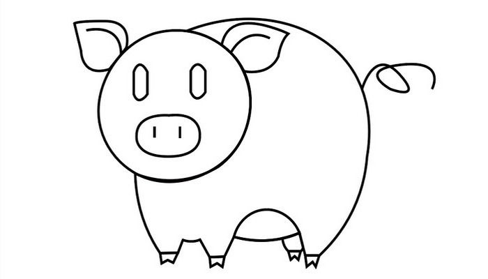 幼儿园小班简笔画小猪图片