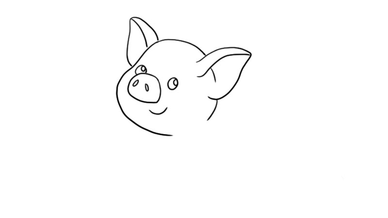 小猪怎么画小猪简笔画