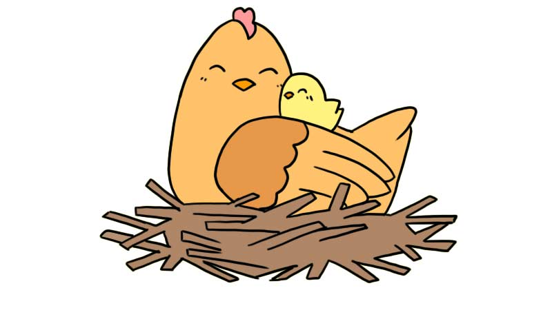 母鸡孵小鸡儿童画图片