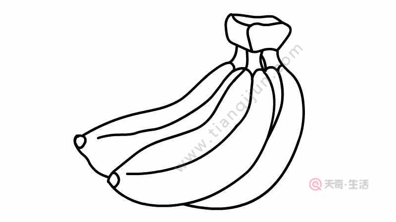 香蕉单个简笔画图片
