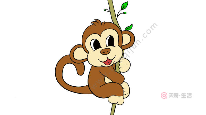 猴子挂树简笔画彩色图片